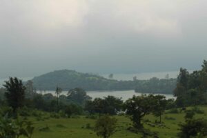 IMG_5258